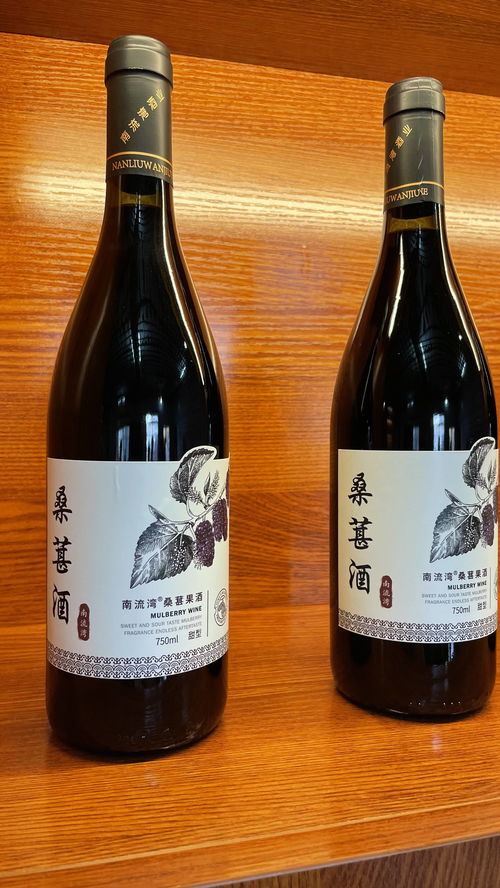 南流灣桑葚酒新品發布暨招商會圓滿成功，共釀健康生活新滋味